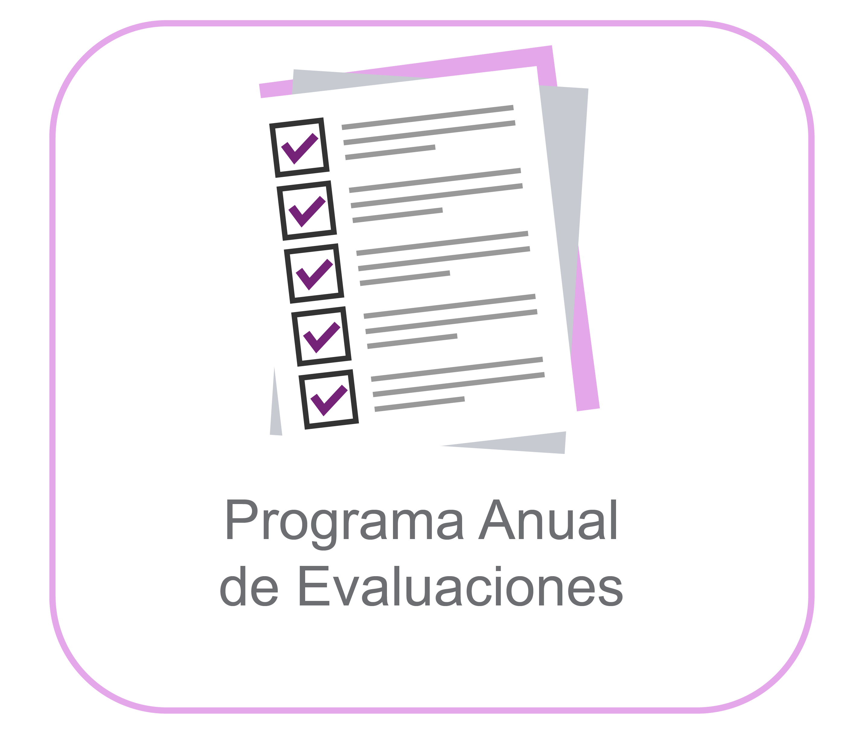 Botón Programa Anual de Evaluaciones 2 02