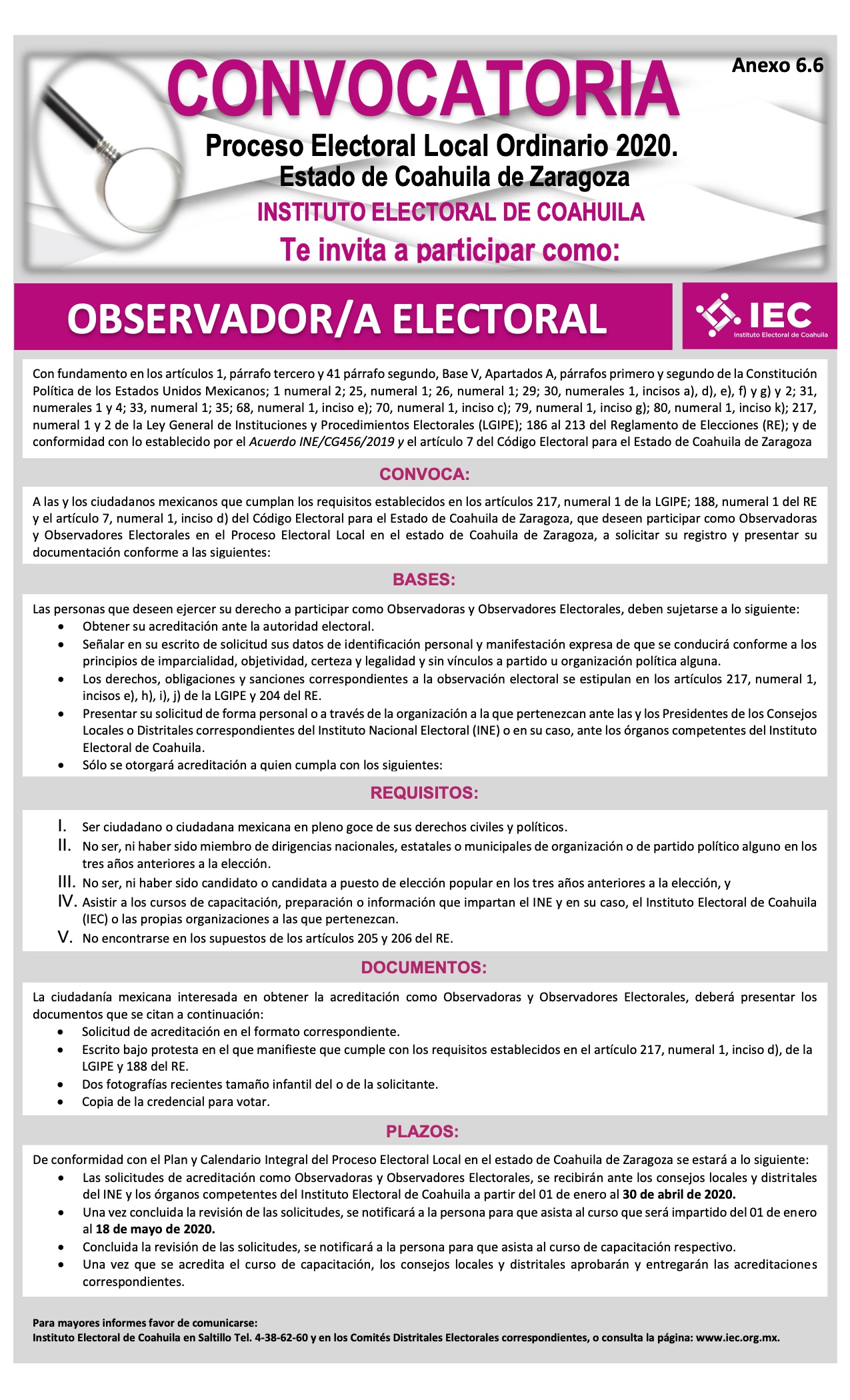 Convocatoria para observadoras es electorales PEL 2020