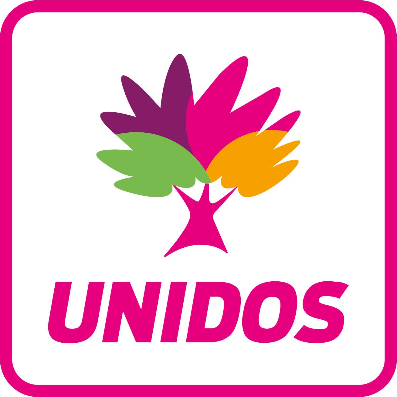 9 UNIDOS LOGO JPEG