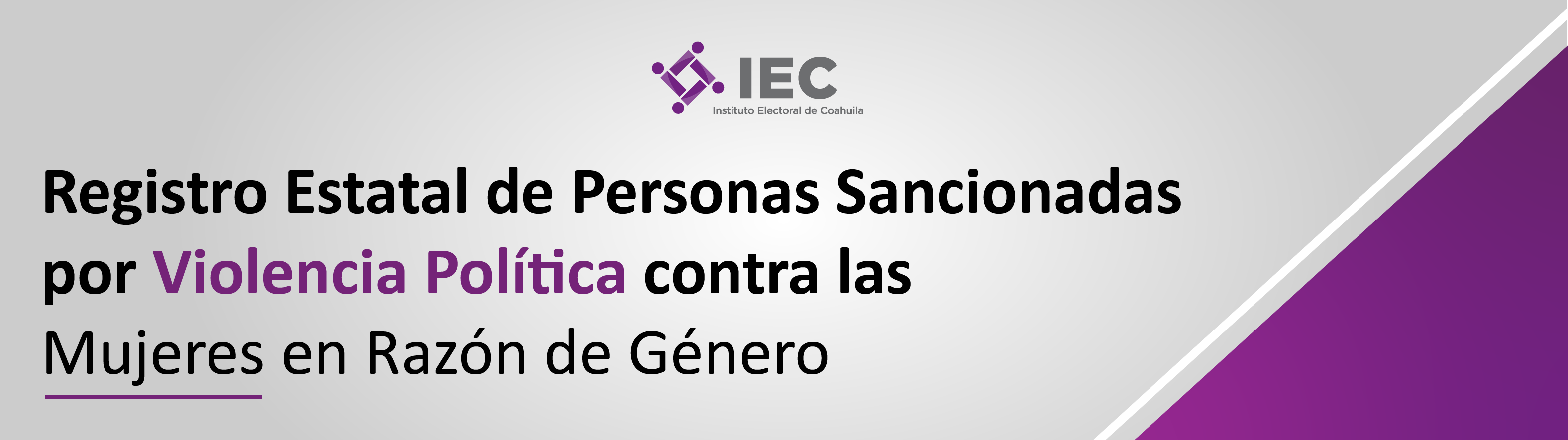 Registro Estatal de Personas Sancionadas en Materia de Violencia Política contra las Mujeres en Razón de Género